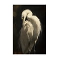 thumbnail image 1 of Stupell Industries Coastal Feathered Egret in Soft Light Canvas Art, 16 x 24, by Petals Prints Design, 1 of 8