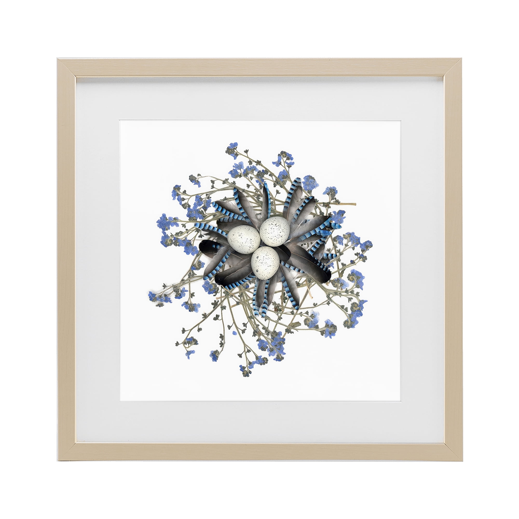 Stupell Industries Feathered Nest & Blue Florals Birch Framed Print Under Glass, design by Beth Adoette