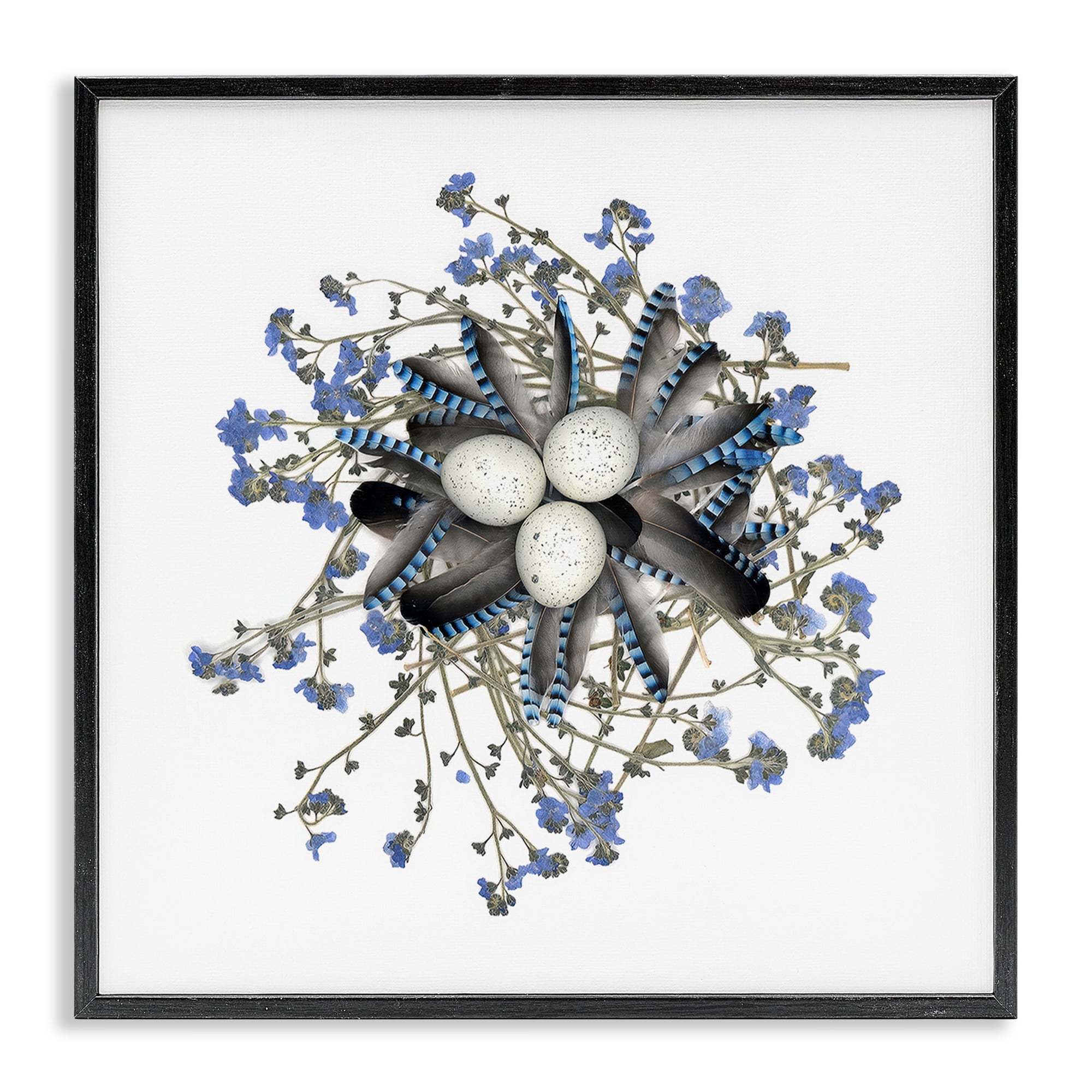 Stupell Industries Feathered Nest & Blue Florals Black Framed Giclee Art, design by Beth Adoette