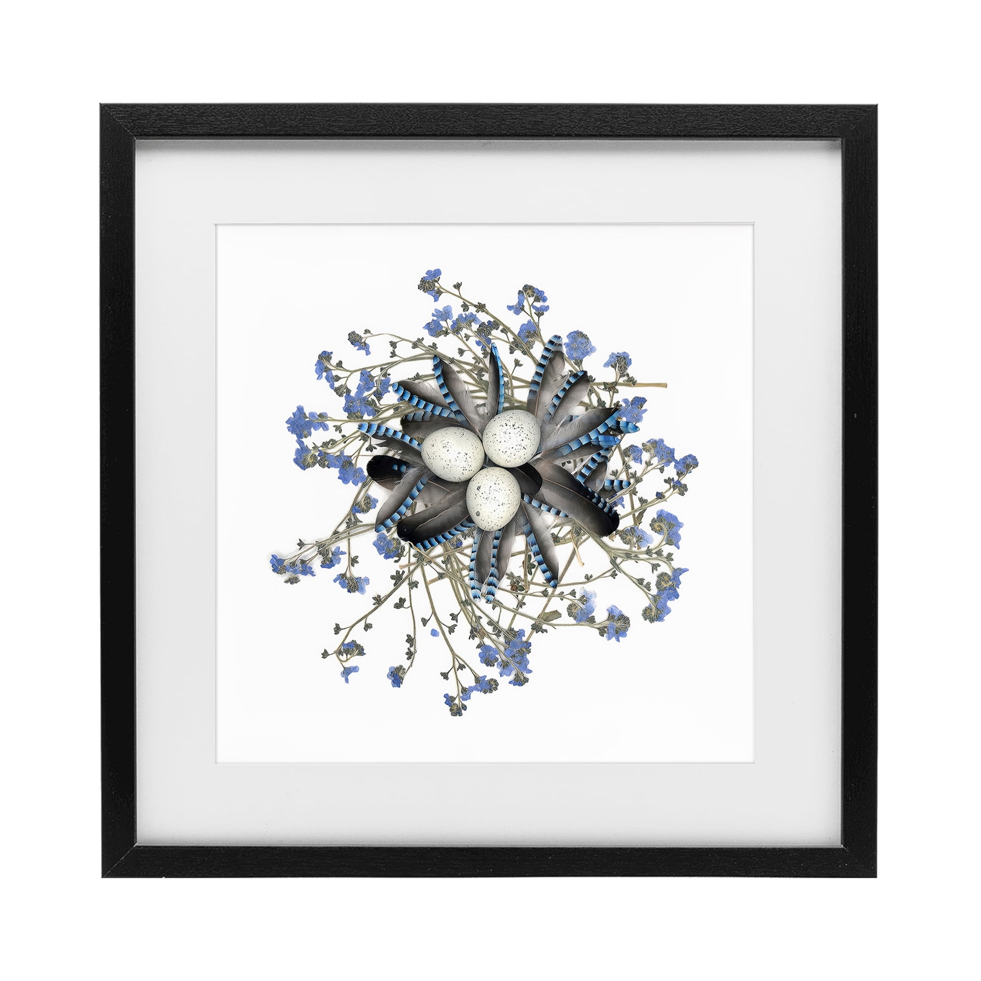 Stupell Industries Feathered Nest & Blue Florals Black Framed Print Under Glass, design by Beth Adoette