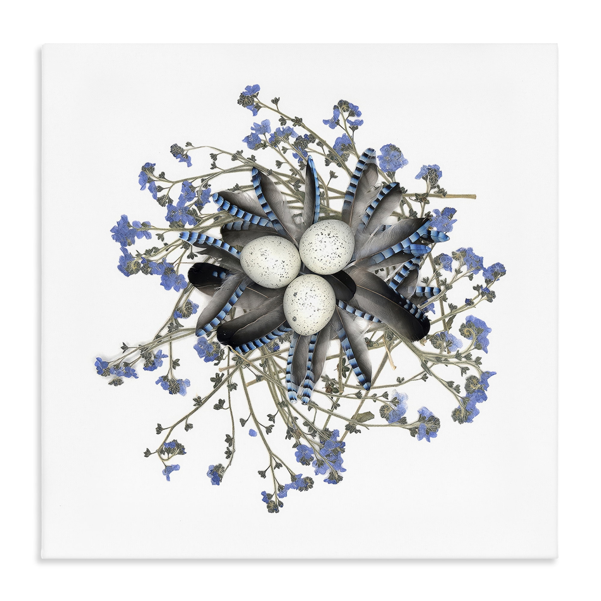 Stupell Industries Feathered Nest & Blue Florals Canvas Wall Art, design by Beth Adoette
