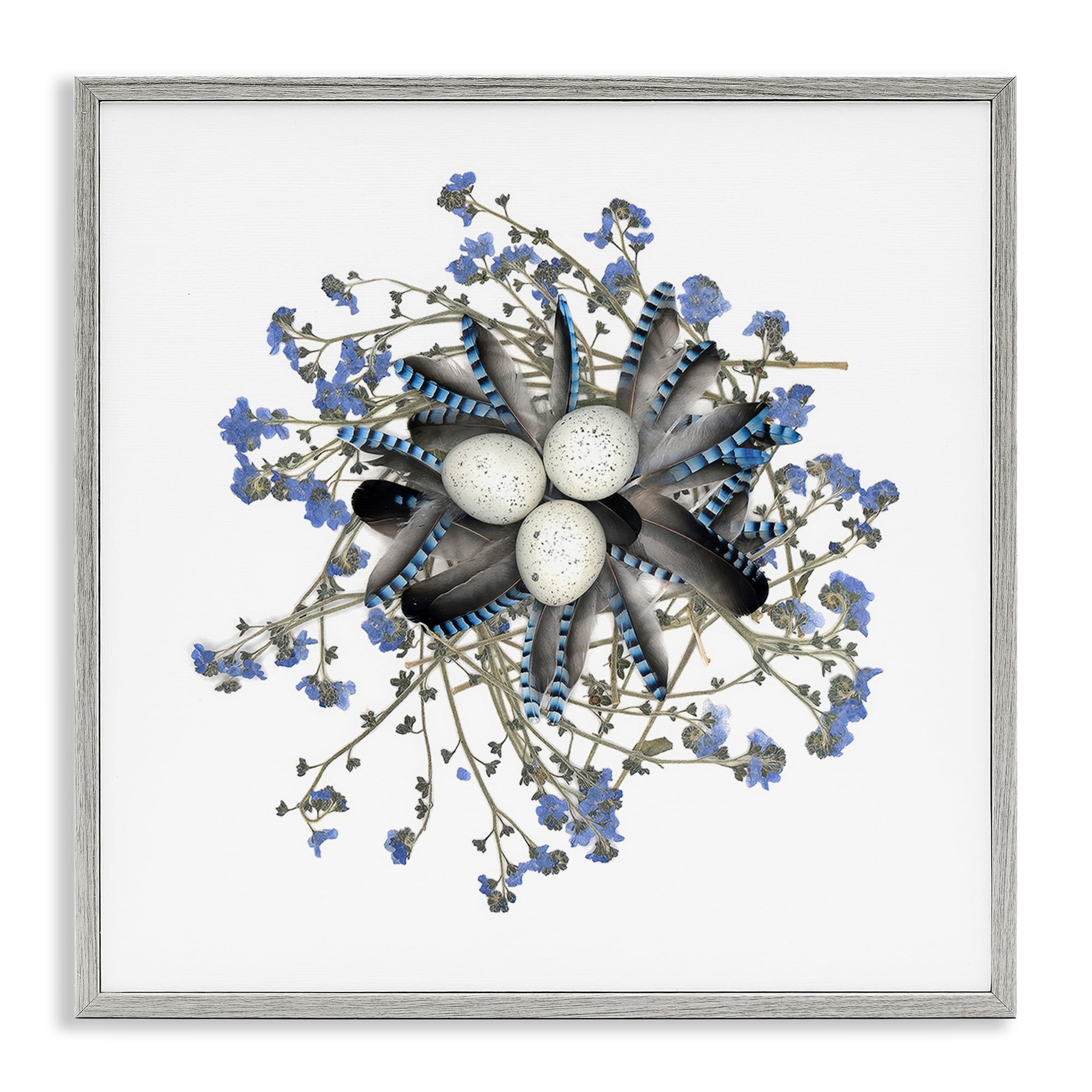 Stupell Industries Feathered Nest & Blue Florals Gray Framed Giclee Art, design by Beth Adoette
