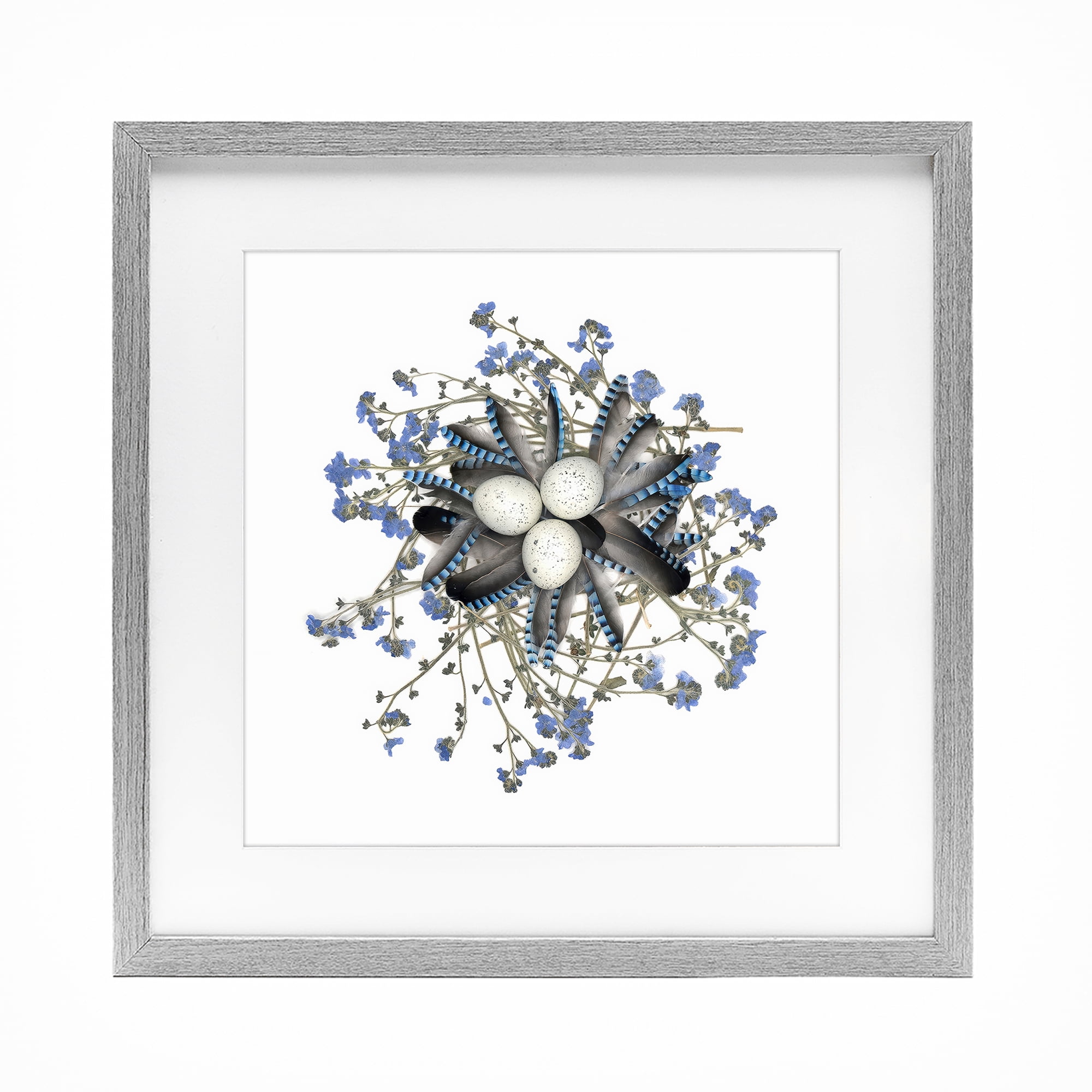 Stupell Industries Feathered Nest & Blue Florals Gray Framed Print Under Glass, design by Beth Adoette