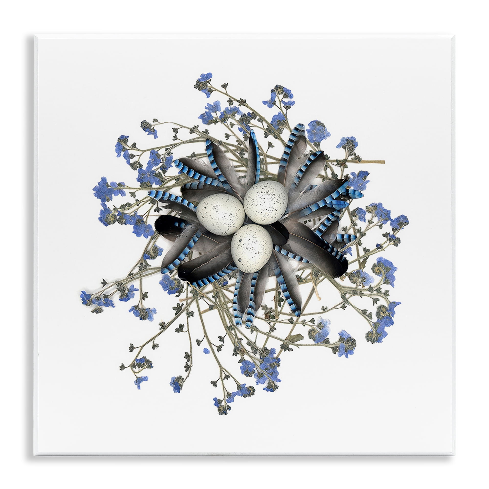 Stupell Industries Feathered Nest & Blue Florals Wall Plaque Art, design by Beth Adoette