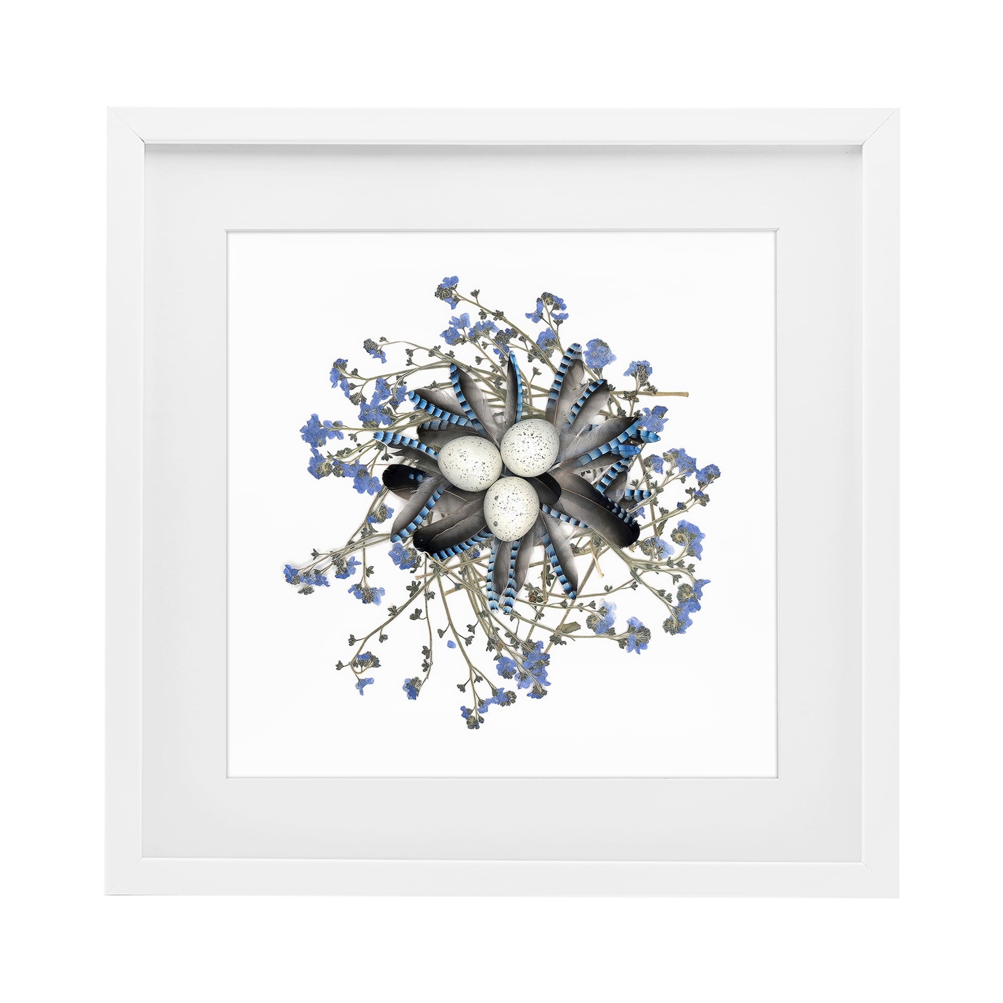 Stupell Industries Feathered Nest & Blue Florals White Framed Print Under Glass, design by Beth Adoette