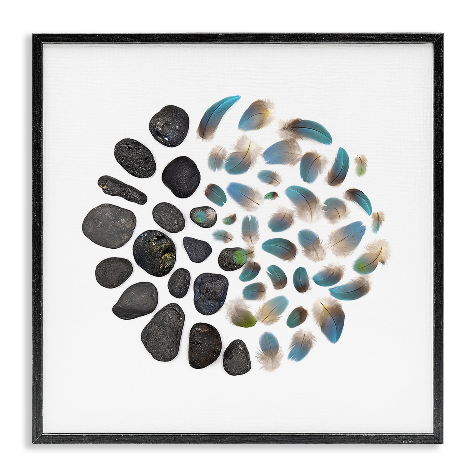 Stupell Industries Feathers & Rocks Collection Black Framed Giclee Art, design by Beth Adoette