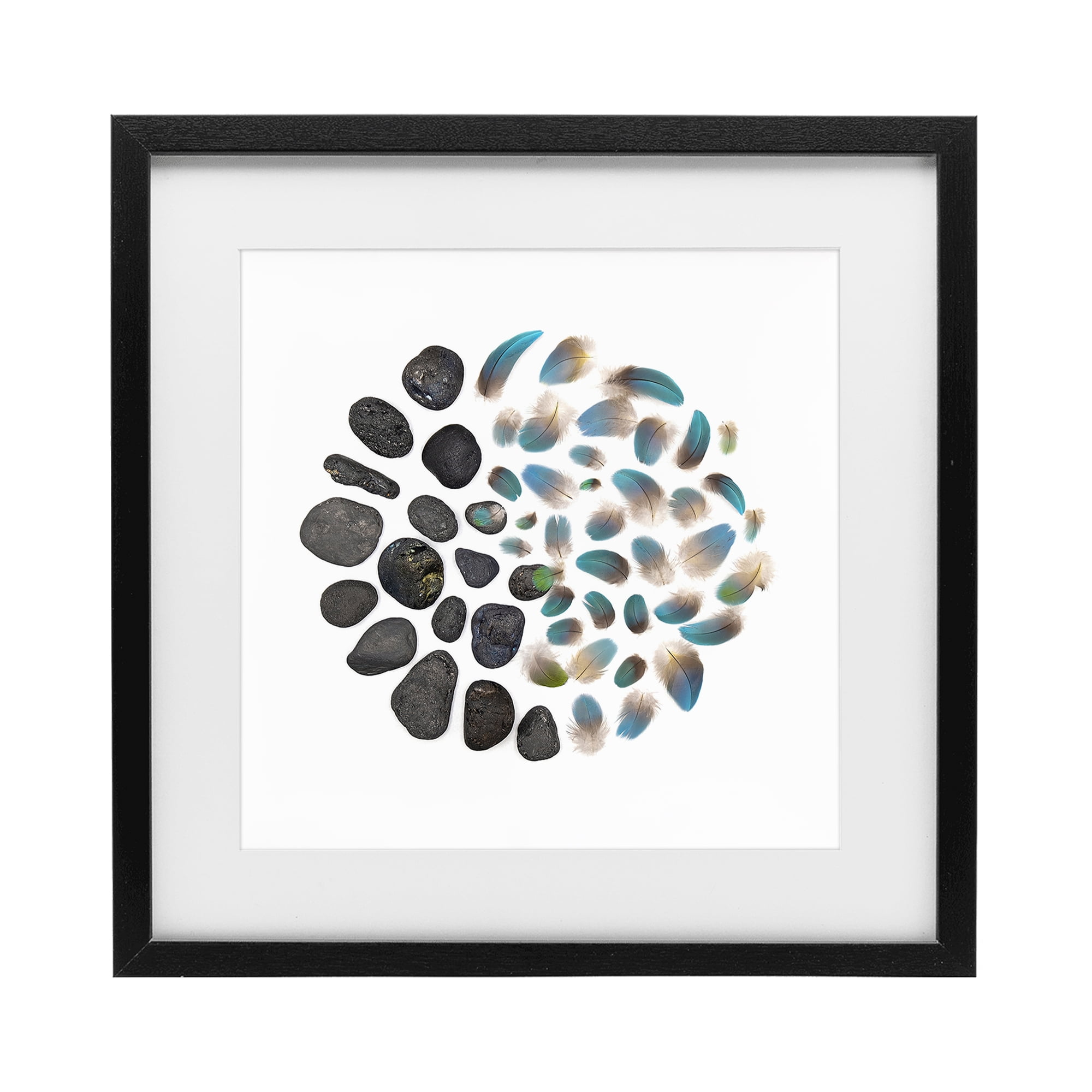 Stupell Industries Feathers & Rocks Collection Black Framed Print Under Glass, design by Beth Adoette