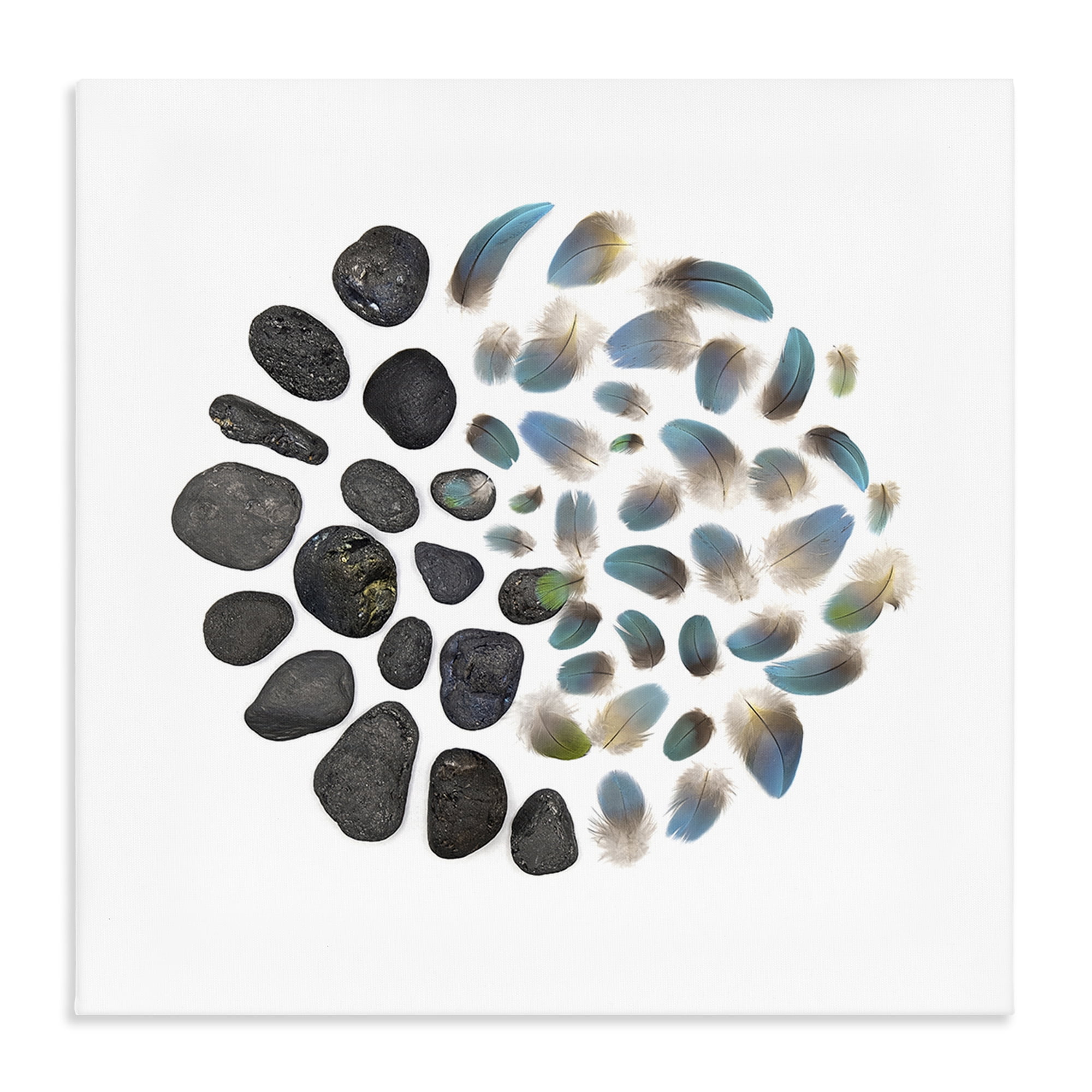 Stupell Industries Feathers & Rocks Collection Canvas Wall Art, design by Beth Adoette