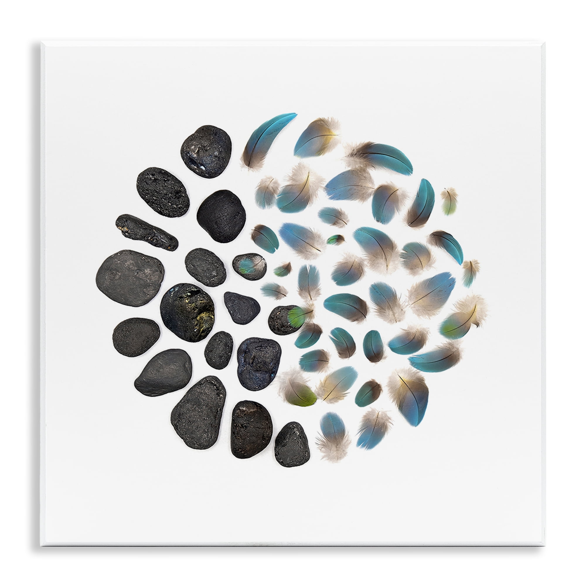 Stupell Industries Feathers & Rocks Collection Wall Plaque Art, design by Beth Adoette