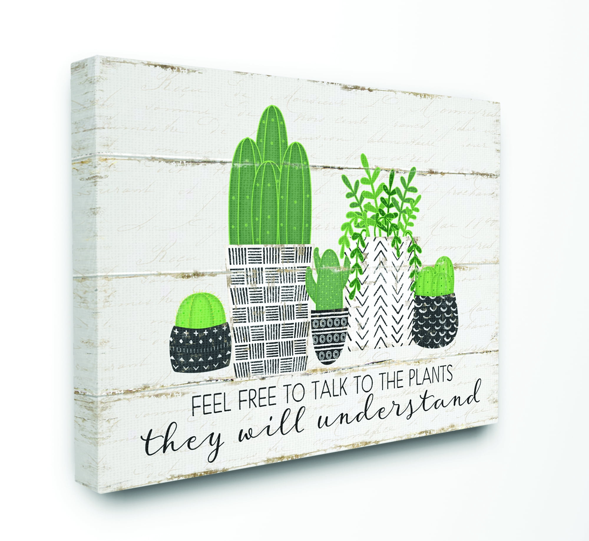 Stupell Industries Feel Free To Talk Cacti Succulents Wood Textured Design Canvas Wall Art by Jennifer Pugh