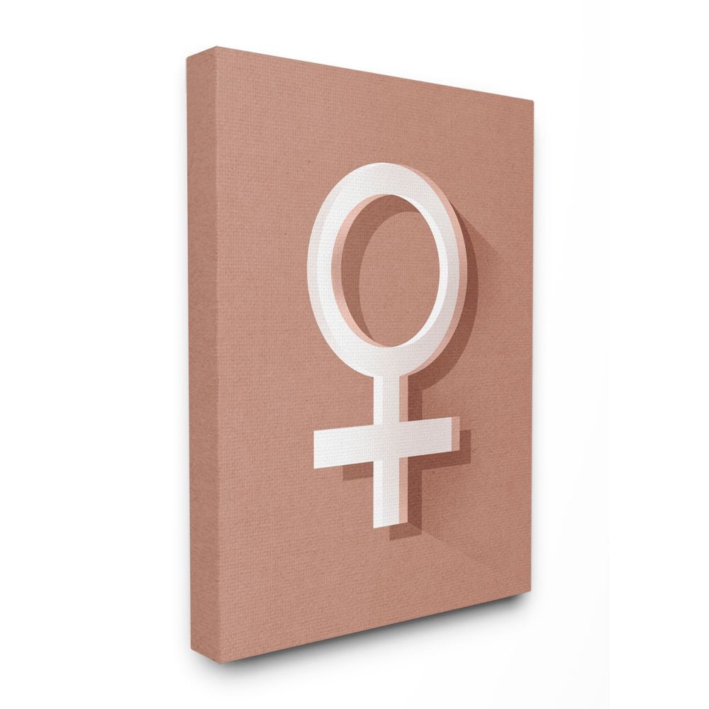 Stupell Industries Female Symbol Modern Pink Textured Design Canvas Wall Art by Daphne Polselli
