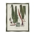 thumbnail image 1 of Stupell Industries Fern Latin Study Botanical & Floral Painting Gray Floater Framed Canvas Art Print Wall Art, 25 x 31, 1 of 10
