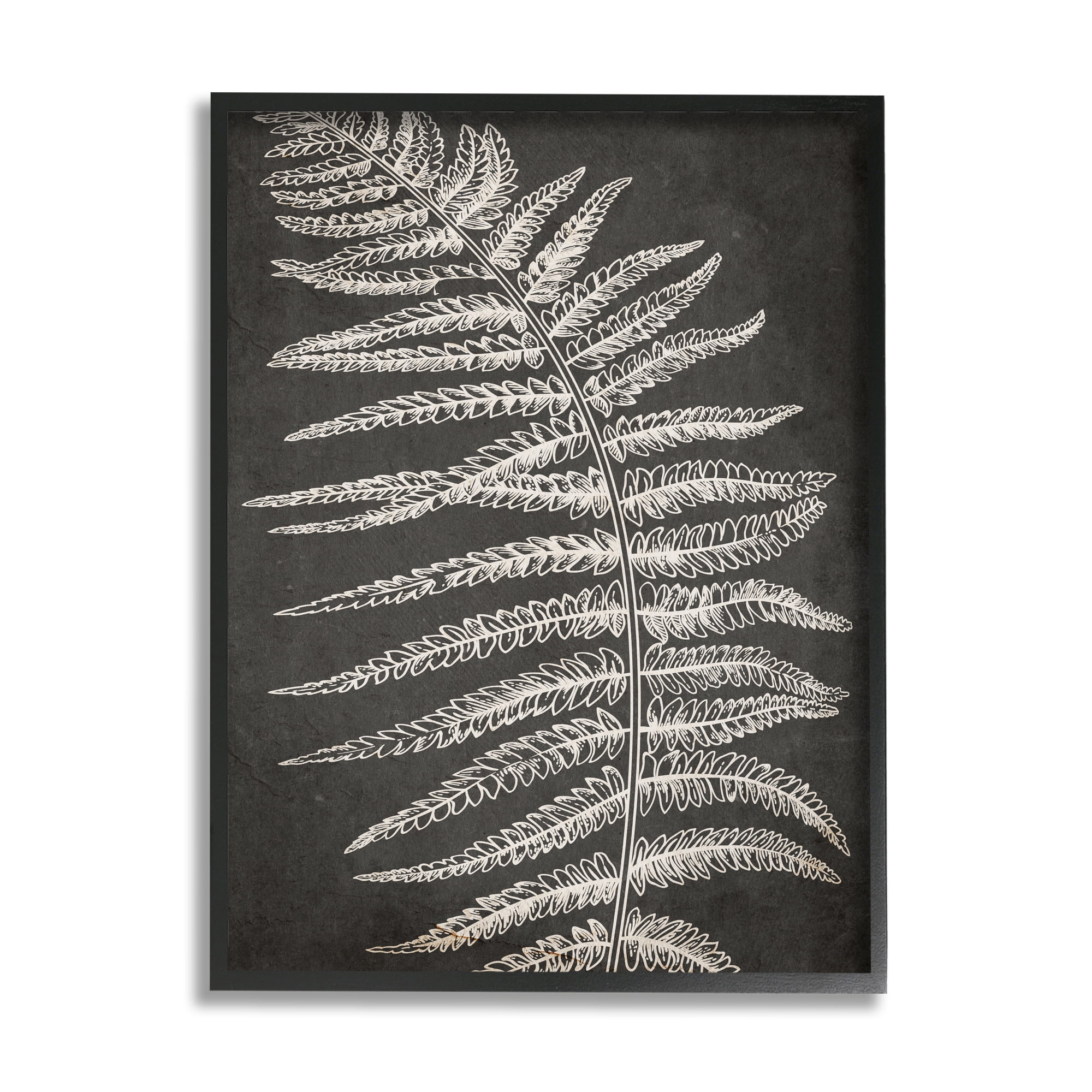 Stupell Industries Fern Leaf on Grey Botanical & Floral Painting Black Framed Art Print Wall Art, 16 x 20