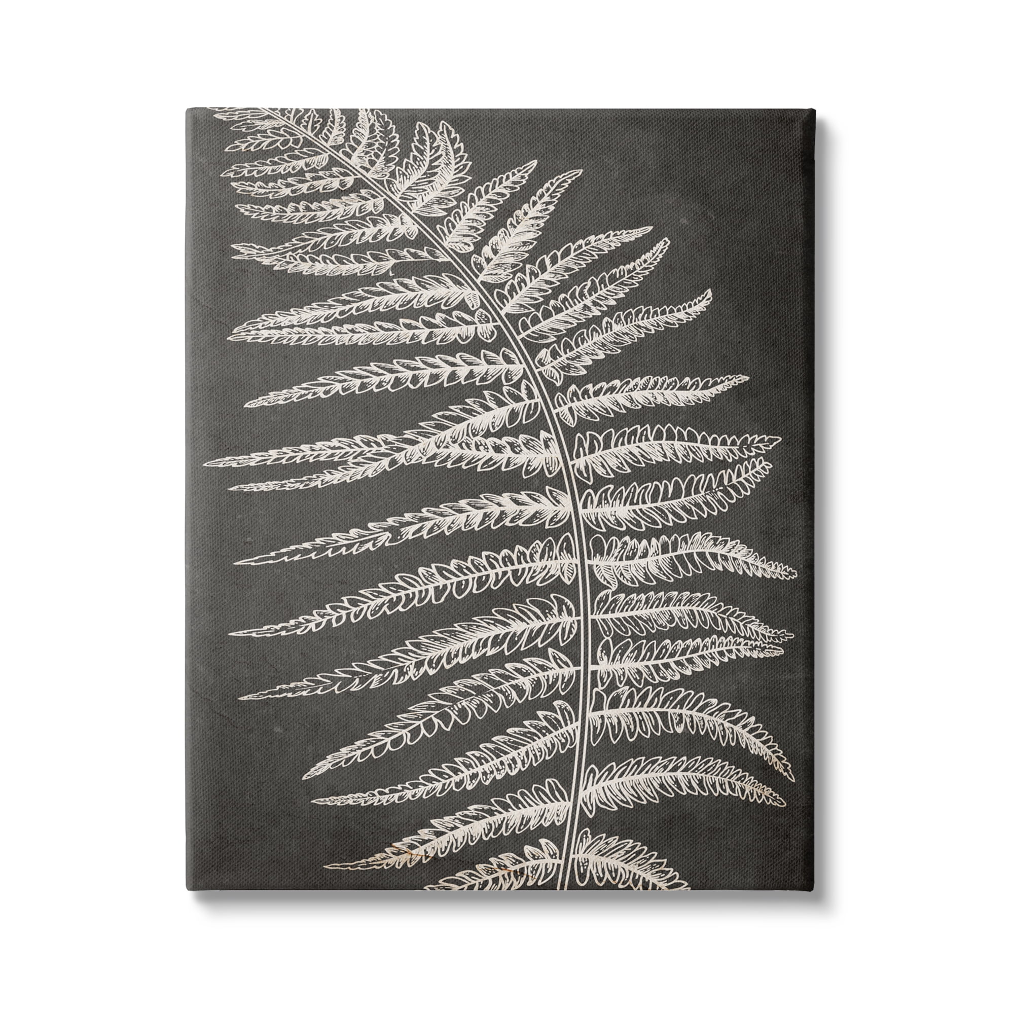Stupell Industries Fern Leaf on Grey Botanical & Floral Painting Gallery Wrapped Canvas Print Wall Art, 30 x 40