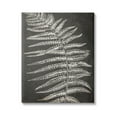thumbnail image 1 of Stupell Industries Fern Leaf on Grey Botanical & Floral Painting Gallery Wrapped Canvas Print Wall Art, 36 x 48, 1 of 8