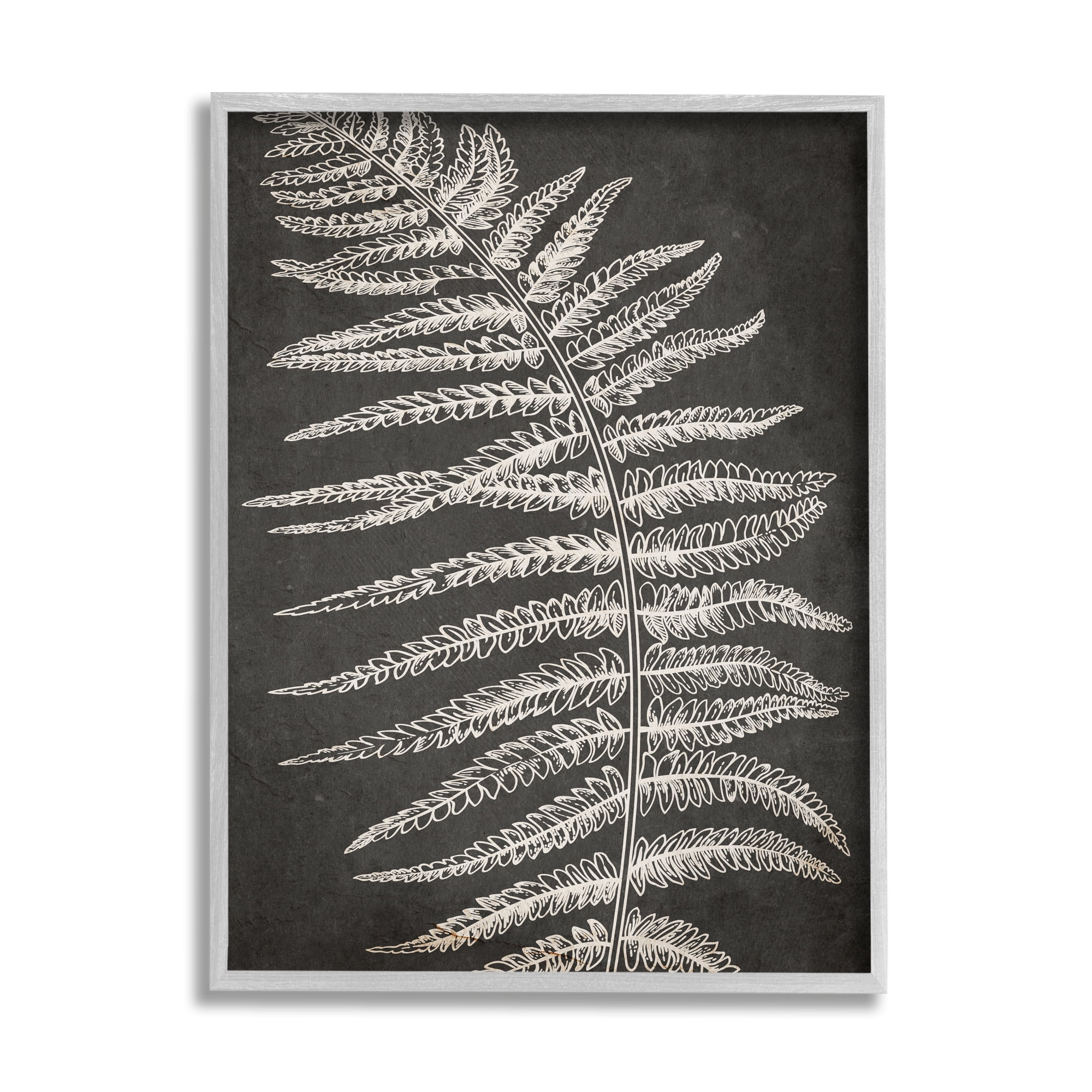 Stupell Industries Fern Leaf on Grey Botanical & Floral Painting Gray Framed Art Print Wall Art, 16 x 20