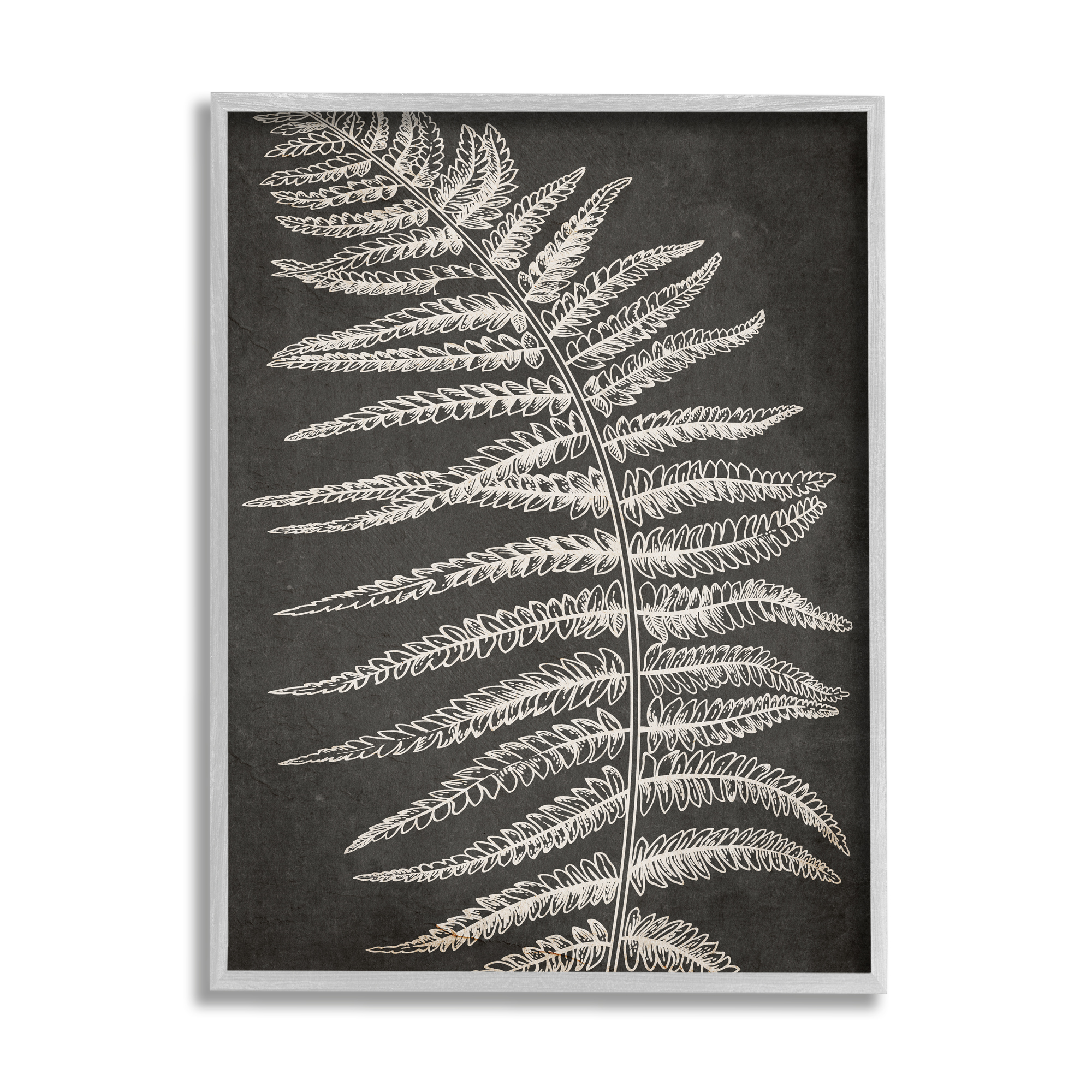 Stupell Industries Fern Leaf on Grey Botanical & Floral Painting Gray Framed Art Print Wall Art, 24 x 30