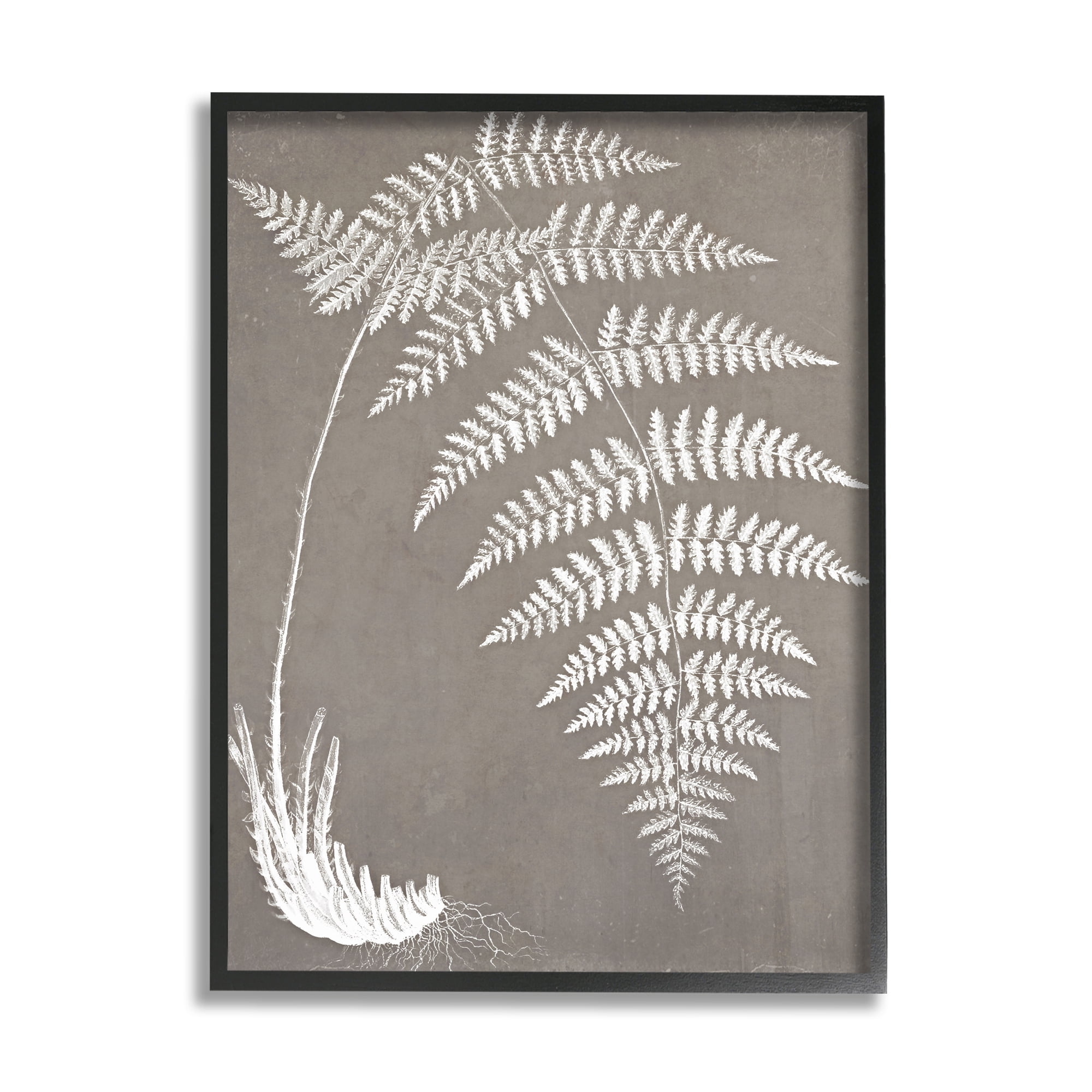 Stupell Industries Fern Leaves Roots Growing Botanicals Neutral Tones Graphic Art Black Framed Art Print Wall Art, Design by Graffitee Studios
