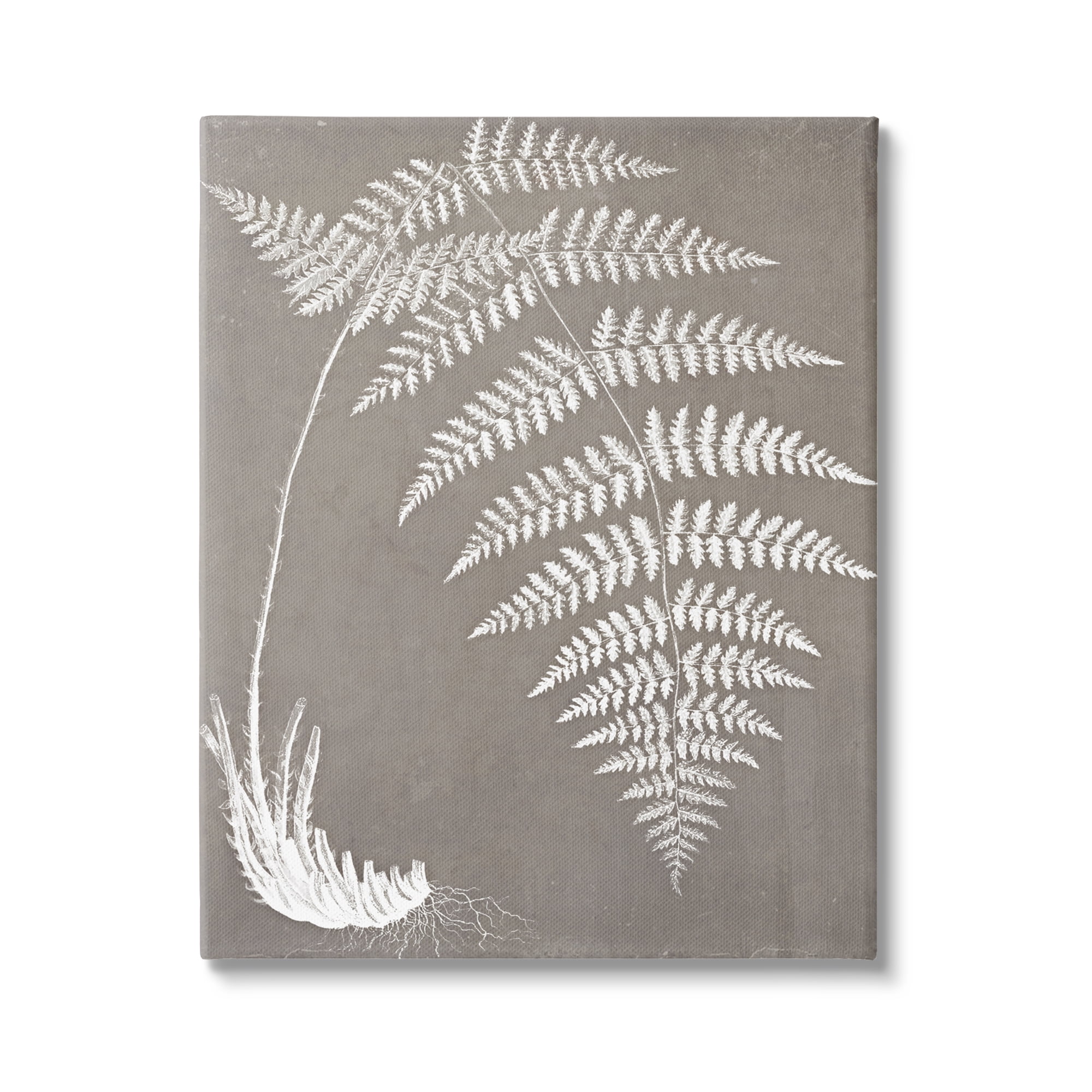 Stupell Industries Fern Leaves Roots Growing Botanicals Neutral Tones Graphic Art Gallery Wrapped Canvas Print Wall Art, Design by Graffitee Studios