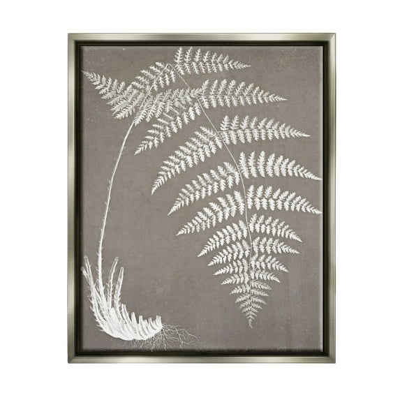 Stupell Industries Fern Leaves Roots Growing Botanicals Neutral Tones Graphic Art Luster Gray Floating Framed Canvas Print Wall Art, Design by Graffitee Studios