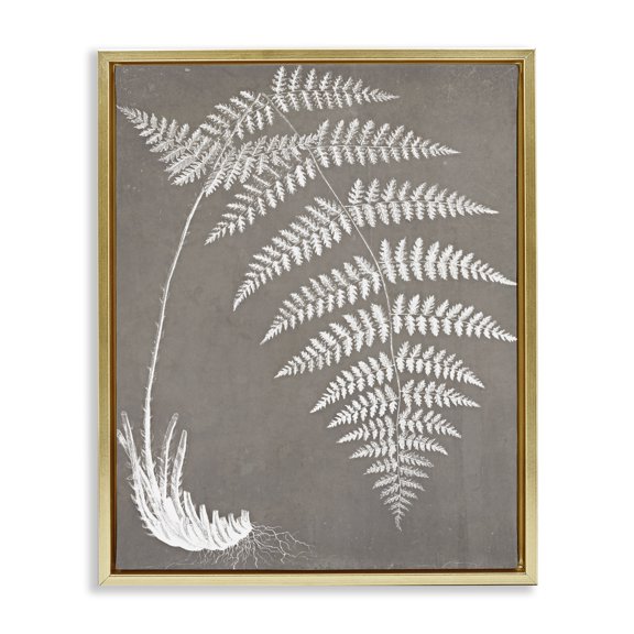 Stupell Industries Transitional Fern Leaves Roots Growing Botanicals Neutral Tones Gold Floating Frame Canvas Art, 17 x 21, by Graffitee Studios