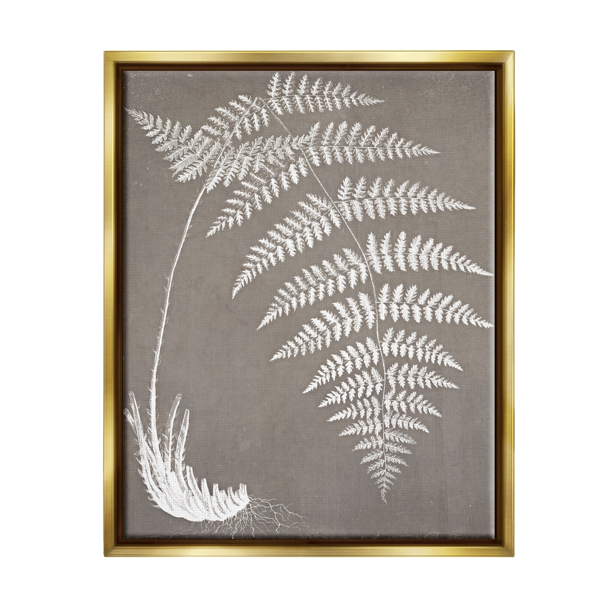 Stupell Industries Fern Leaves Roots Growing Botanicals Neutral Tones Graphic Art Metallic Gold Floating Framed Canvas Print Wall Art, Design by Graffitee Studios