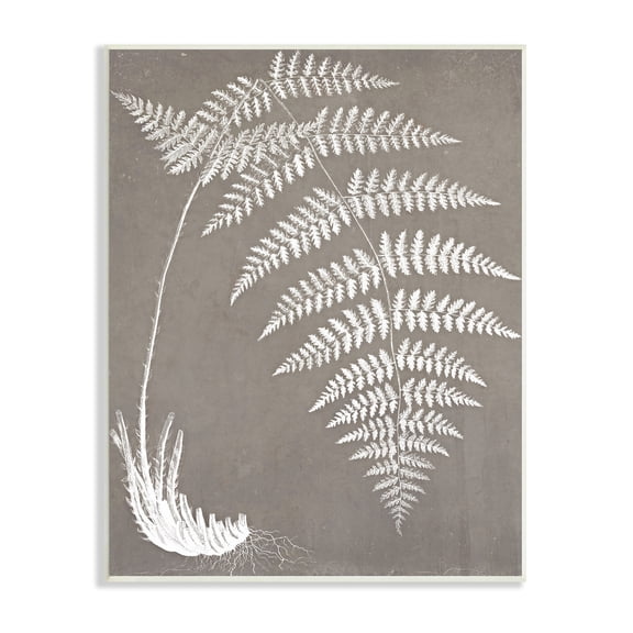 Stupell Industries Fern Leaves Roots Growing Botanicals Neutral Tones Graphic Art Unframed Art Print Wall Art, Design by Graffitee Studios