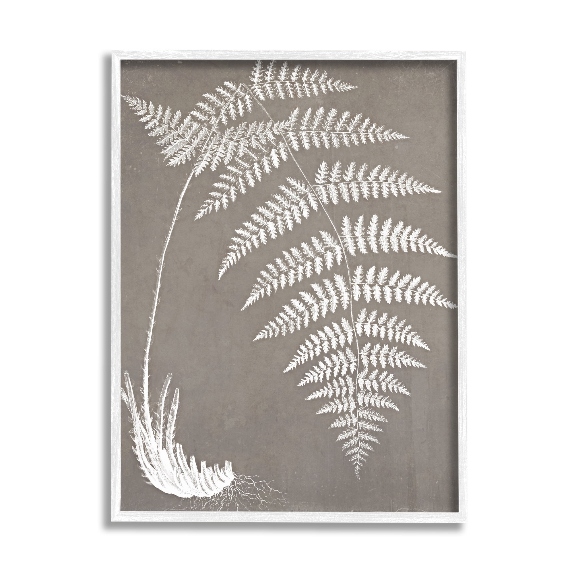 Stupell Industries Fern Leaves Roots Growing Botanicals Neutral Tones Graphic Art White Framed Art Print Wall Art, Design by Graffitee Studios