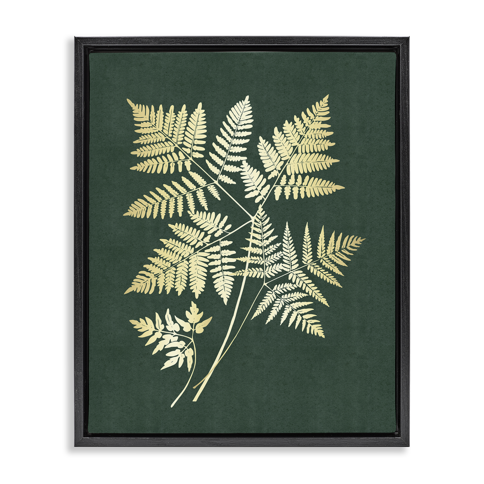 Stupell Industries Fern Leaves on Green Plants & Flowers Painting Black Floater Framed Canvas Art Print Wall Art, 25 x 31