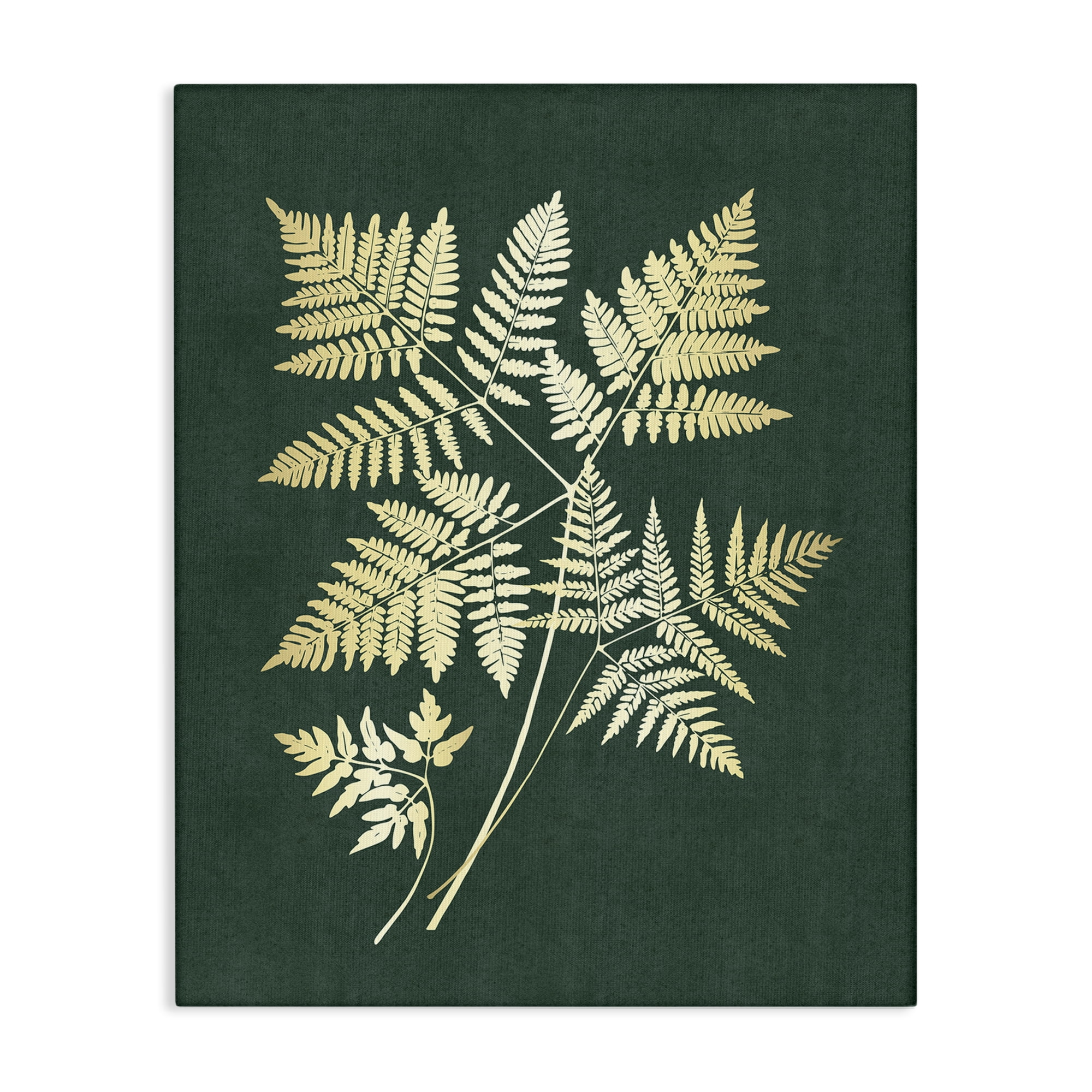 Stupell Industries Fern Leaves on Green Plants & Flowers Painting Wrapped Canvas Art Print Wall Art, 30 x 40