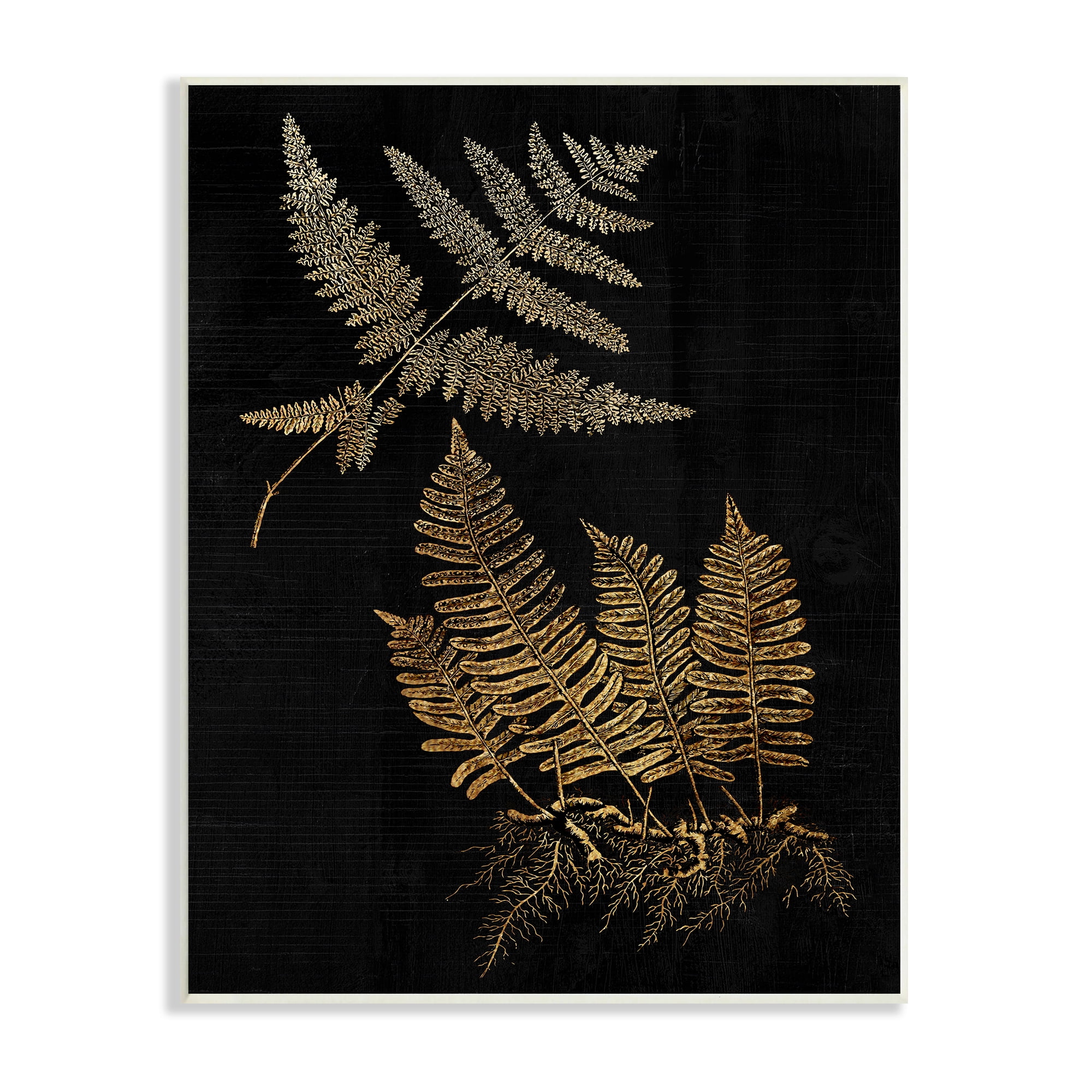 Stupell Industries Fern Plant Illustration Bold Vintage Forest Botanical, 13 x 19, Design by Daphne Polselli