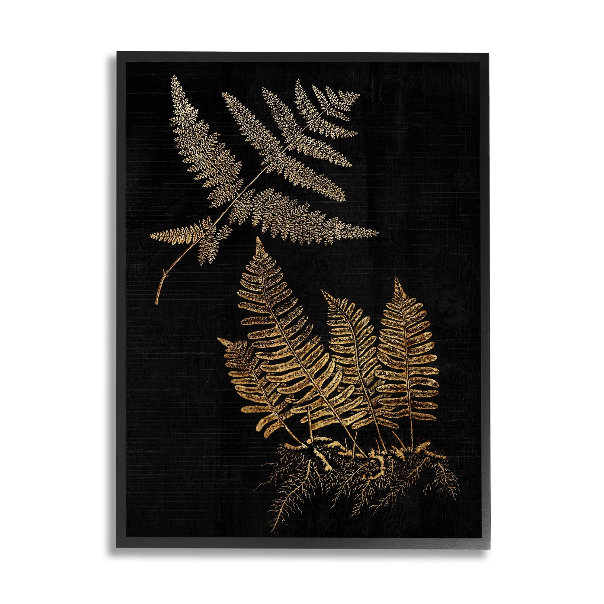 Stupell Industries Fern Plant Illustration Bold Vintage Forest Botanical, 16 x 20, Design by Daphne Polselli