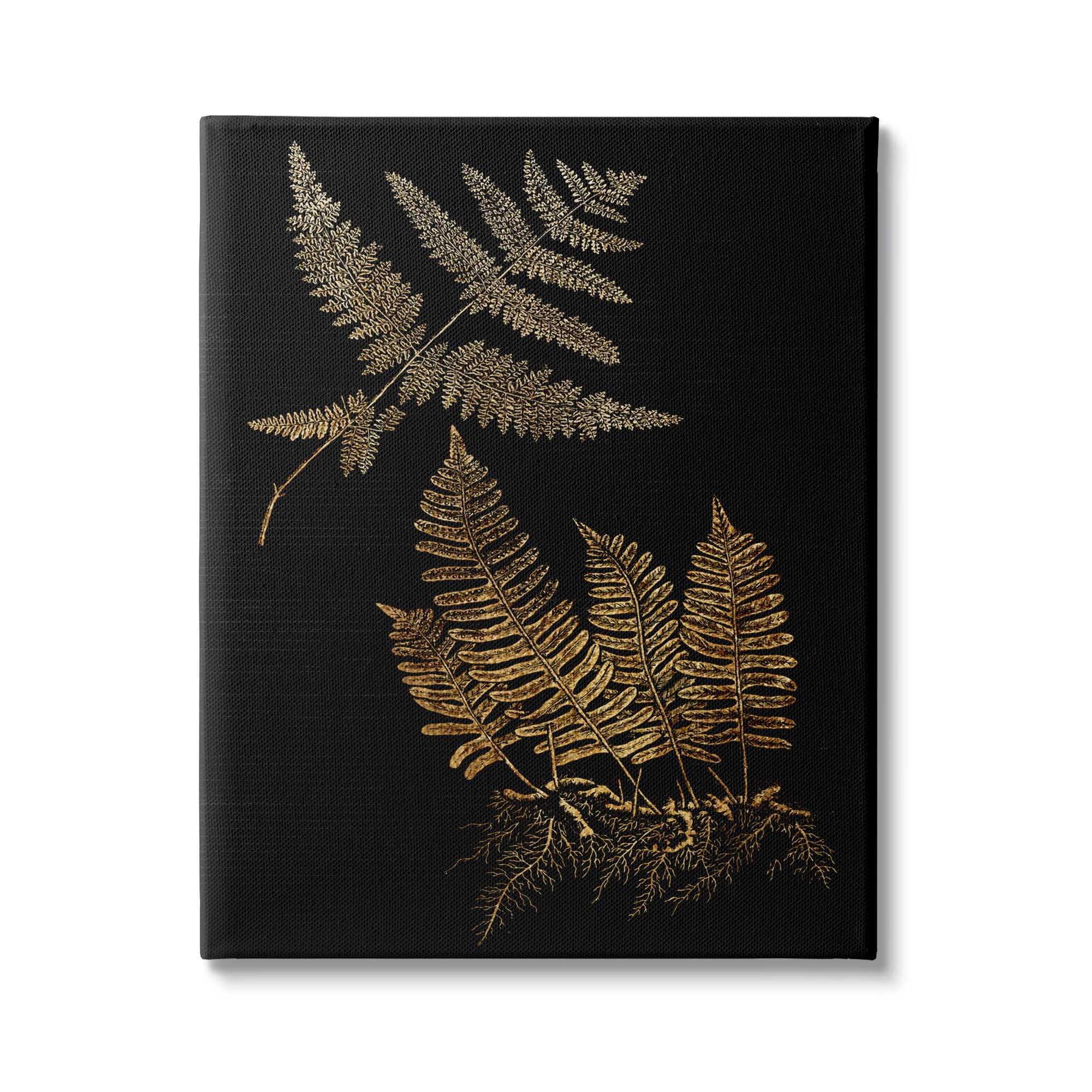 Stupell Industries Fern Plant Illustration Bold Vintage Forest Botanical, 16 x 20, Design by Daphne Polselli