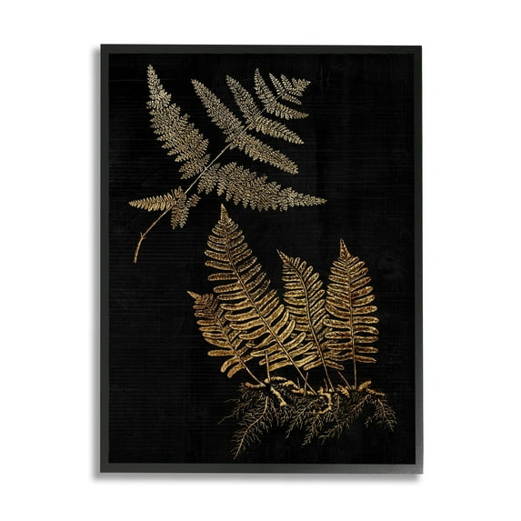 Stupell Industries Fern Plant Illustration Bold Vintage Forest Botanical, 24 x 30, Design by Daphne Polselli