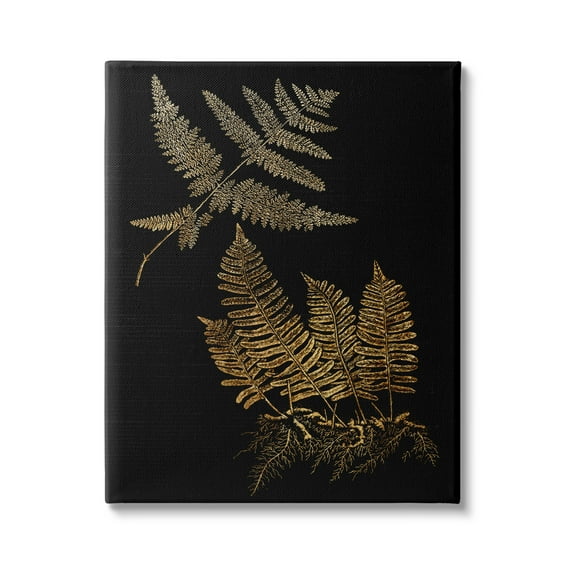 Stupell Industries Fern Plant Illustration Bold Vintage Forest Botanical, 36 x 48, Design by Daphne Polselli