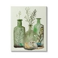 thumbnail image 1 of Stupell Industries Fern Plants Nautical Seashells Green Jug Still Life, 30 x 40, Design by Melissa Wang&nbsp;, 1 of 6