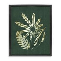 Stupell Industries Fern Sprigs Flower Shape Plants & Flowers Painting Black Floater Framed Canvas Art Print Wall Art, 17 x 21