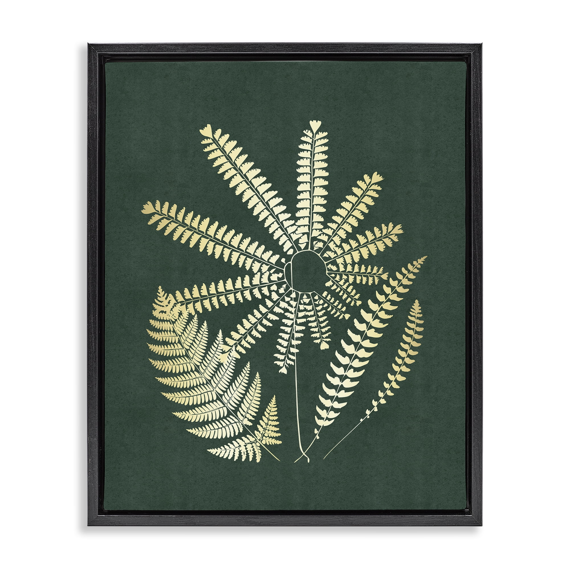 Stupell Industries Fern Sprigs Flower Shape Plants & Flowers Painting Black Floater Framed Canvas Art Print Wall Art, 25 x 31