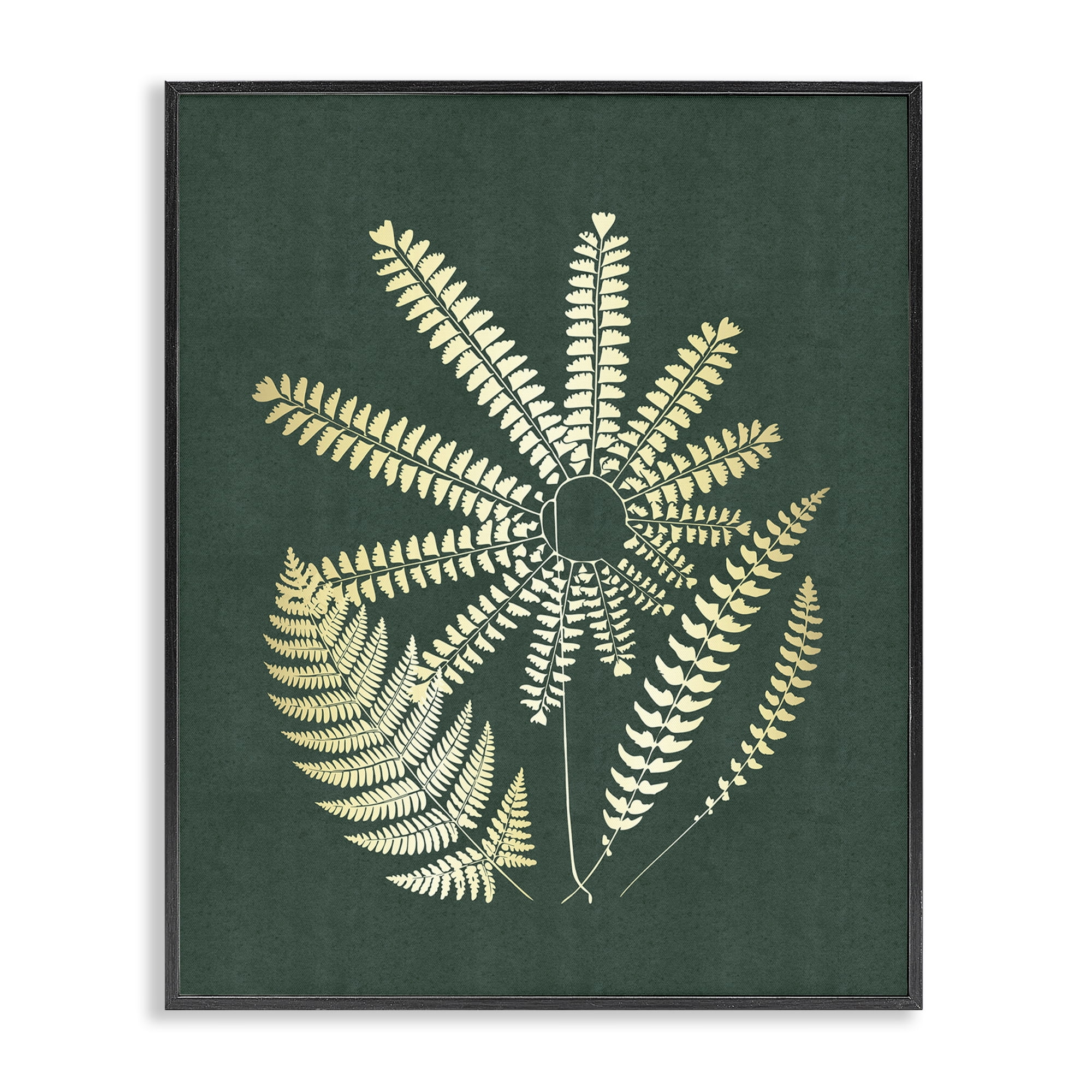 Stupell Industries Fern Sprigs Flower Shape Plants & Flowers Painting Black Framed Art Print Wall Art, 24 x 30