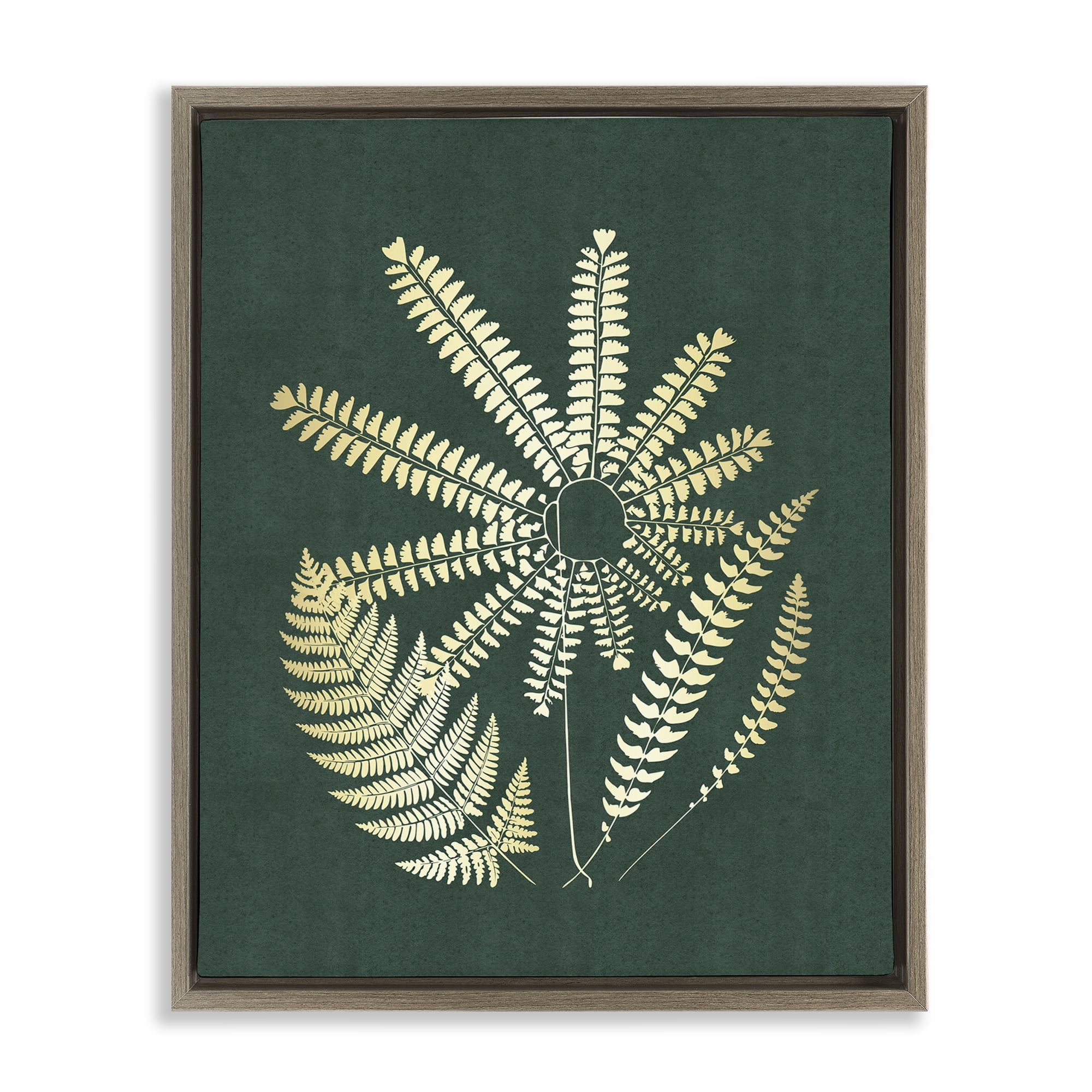 Stupell Industries Fern Sprigs Flower Shape Plants & Flowers Painting Brown Floater Framed Canvas Art Print Wall Art, 25 x 31