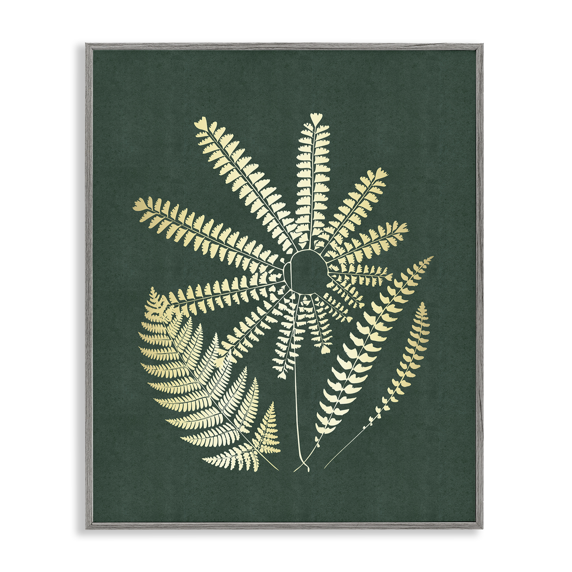 Stupell Industries Fern Sprigs Flower Shape Plants & Flowers Painting Gray Framed Art Print Wall Art, 11 x 14