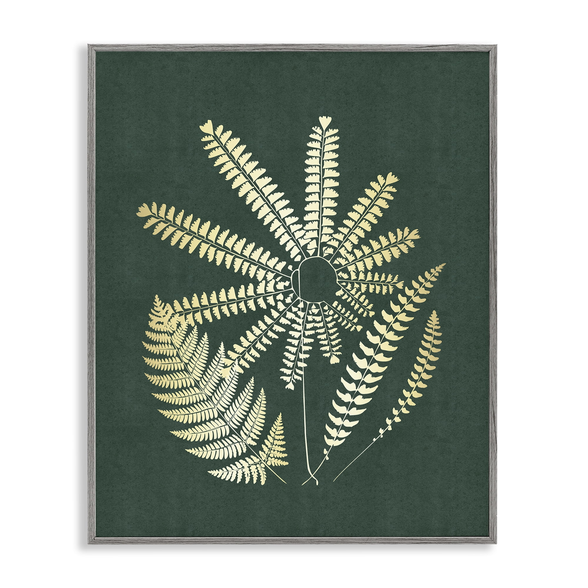 Stupell Industries Fern Sprigs Flower Shape Plants & Flowers Painting Gray Framed Art Print Wall Art, 24 x 30