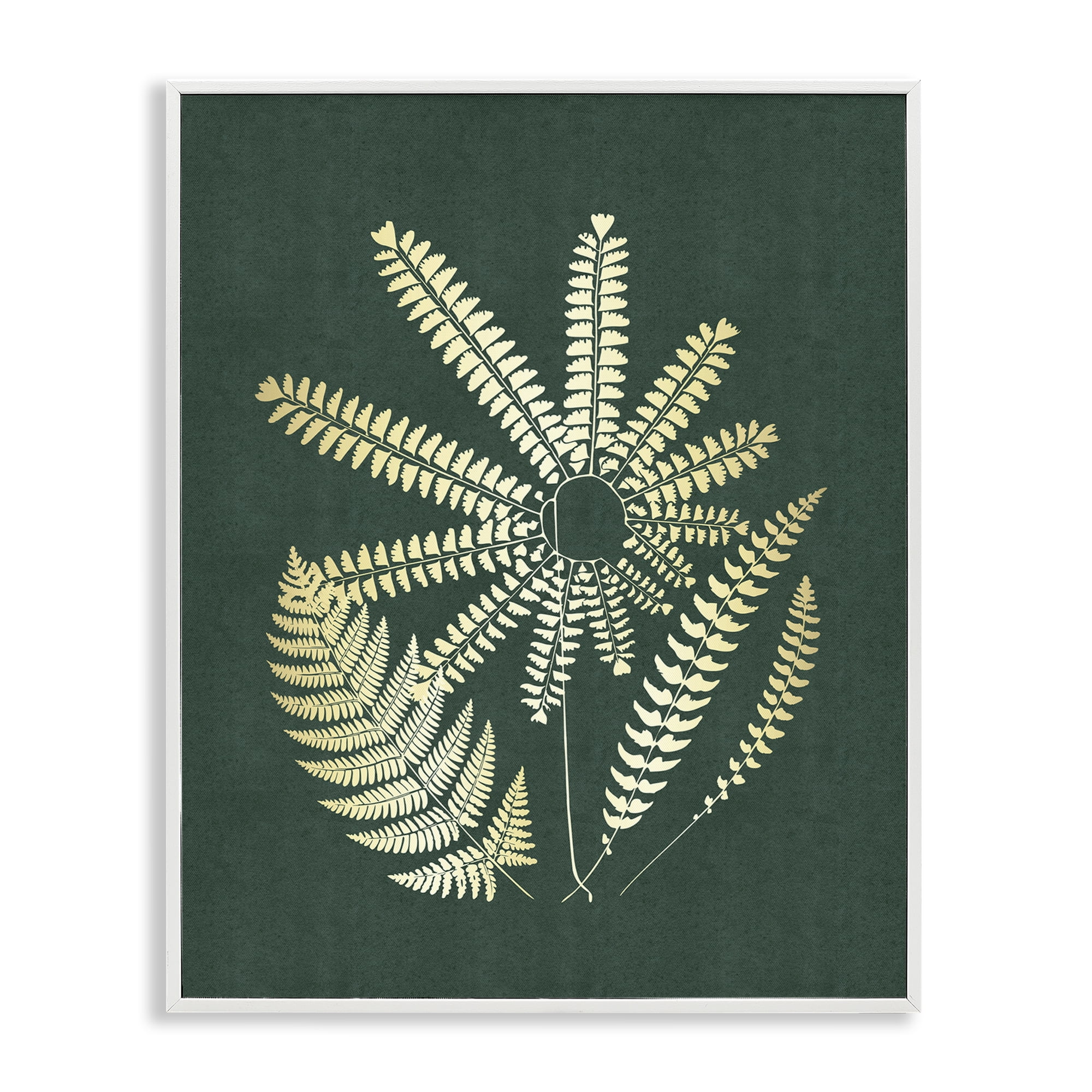 Stupell Industries Fern Sprigs Flower Shape Plants & Flowers Painting White Framed Art Print Wall Art, 11 x 14