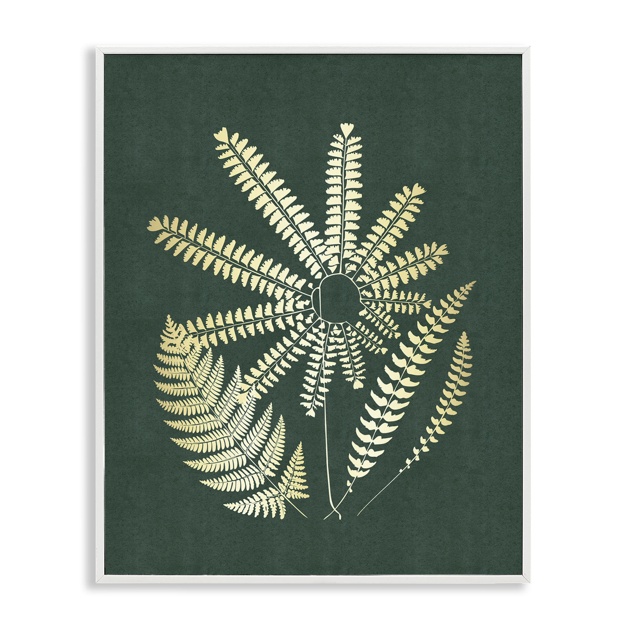 Stupell Industries Fern Sprigs Flower Shape Plants & Flowers Painting White Framed Art Print Wall Art, 24 x 30