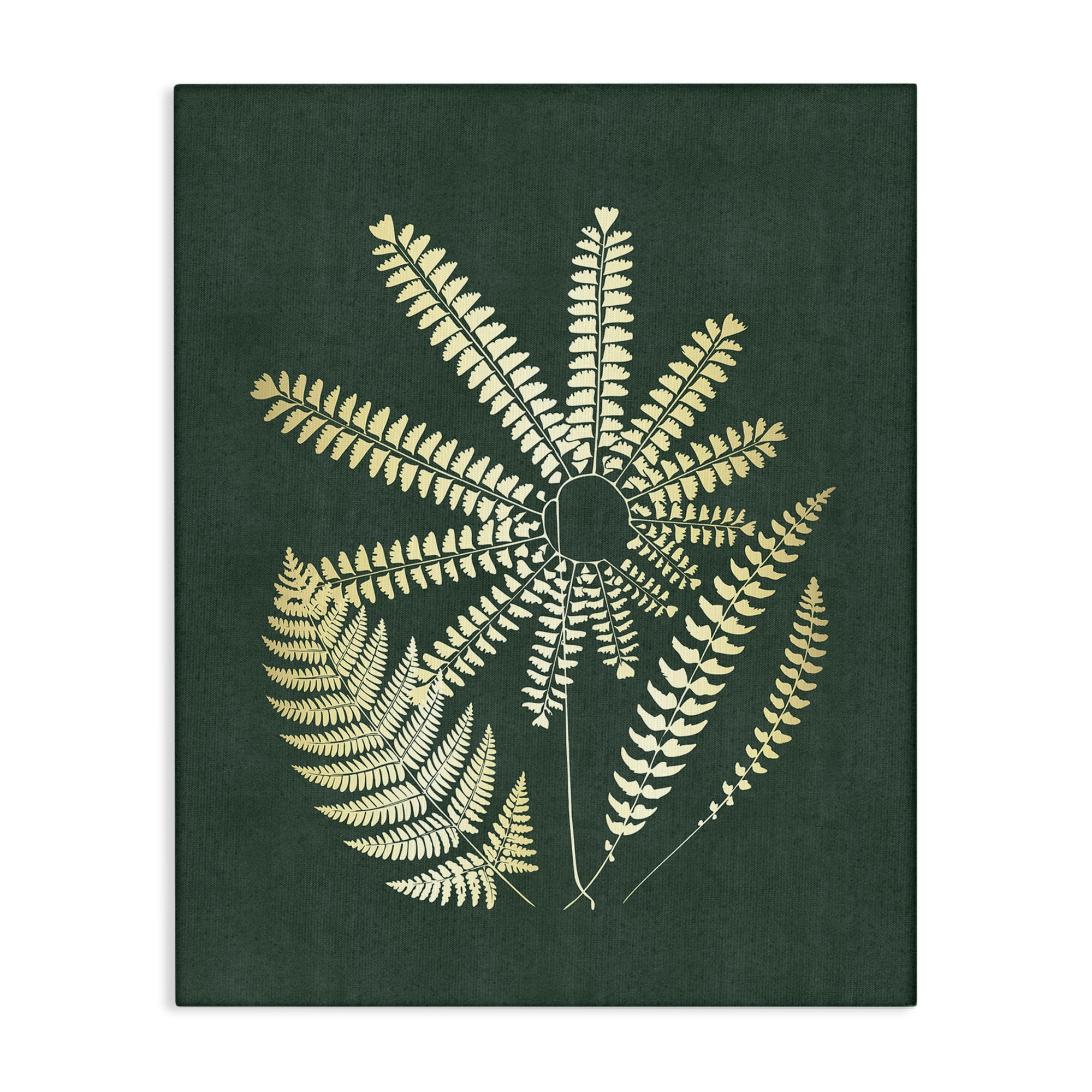 Stupell Industries Fern Sprigs Flower Shape Plants & Flowers Painting Wrapped Canvas Art Print Wall Art, 30 x 40