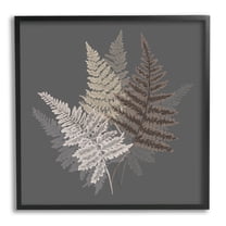 Stupell Industries Fern Sprigs Leaves Layered Nature Earthy Botanicals Graphic Art Black Framed Art Print Wall Art, Design by House of Rose