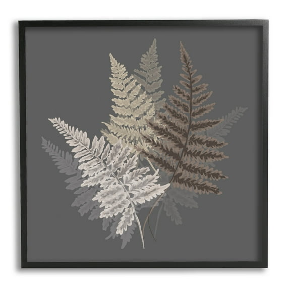 Stupell Industries Fern Sprigs Leaves Layered Nature Earthy Botanicals Graphic Art Black Framed Art Print Wall Art, Design by House of Rose