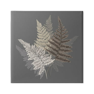Stupell Industries Fern Sprigs Leaves Layered Nature Earthy Botanicals Graphic Art Gallery Wrapped Canvas Print Wall Art, Design by House of Rose