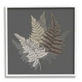 thumbnail image 1 of Stupell Industries Fern Sprigs Leaves Layered Nature Earthy Botanicals Graphic Art White Framed Art Print Wall Art, Design by House of Rose, 1 of 7