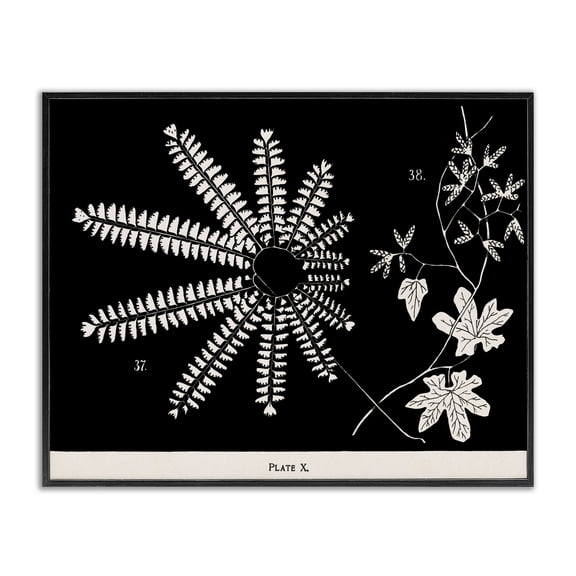 Stupell Industries Ferns & Leaves on Black Floral Painting Black Framed Art Print Wall Art, 14 x 11